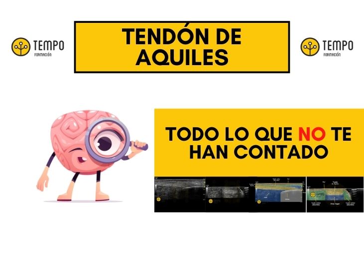 tendon-de-aquiles-aprende-a-valorarlo-ecografia